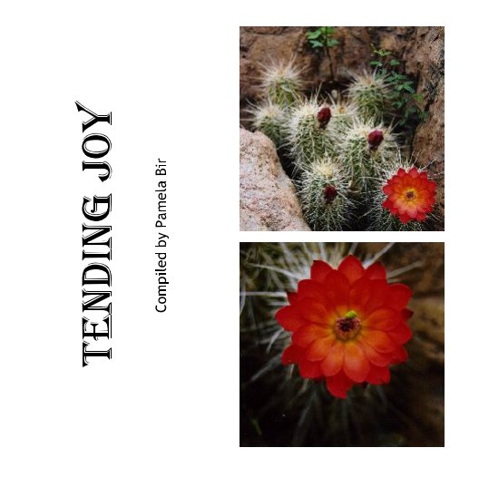 View Tending Joy by Pamela Bir