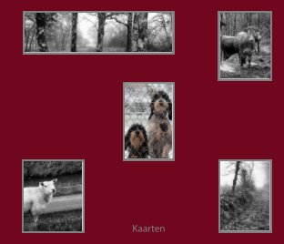 Kaarten book cover