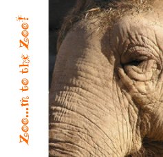 Zoo...m to the Zoo! book cover