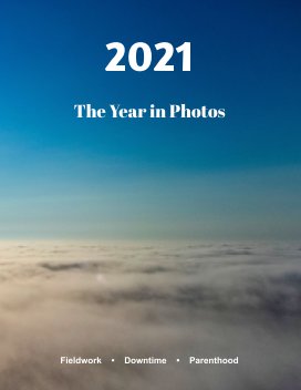 2021 book cover